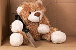 MF_Kalender_2010_029.jpg