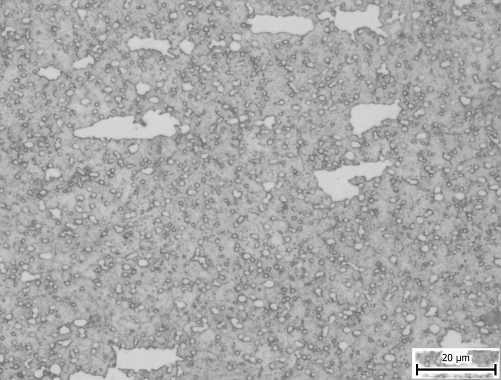 01 440C-cropped-scaled.jpg