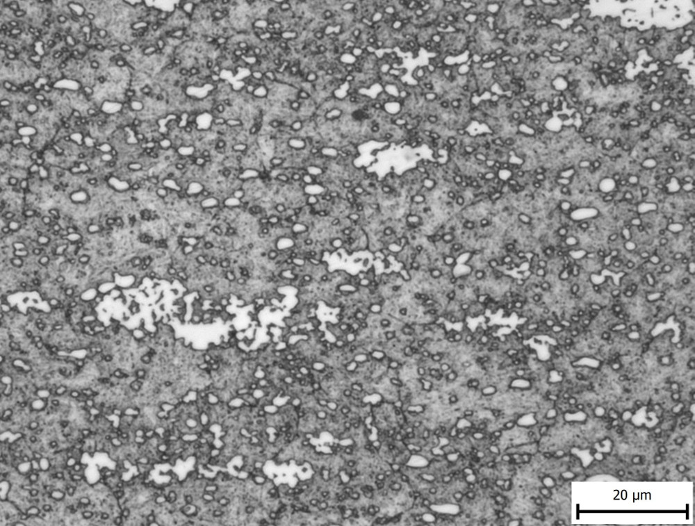 02 VG10-500X-resized2.jpg