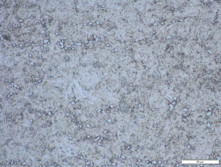 05 1000X-X50-1 1.4116.jpg