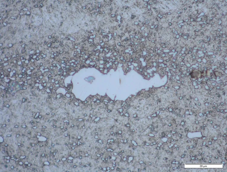 05 1000X-X50-2 1.4116.jpg