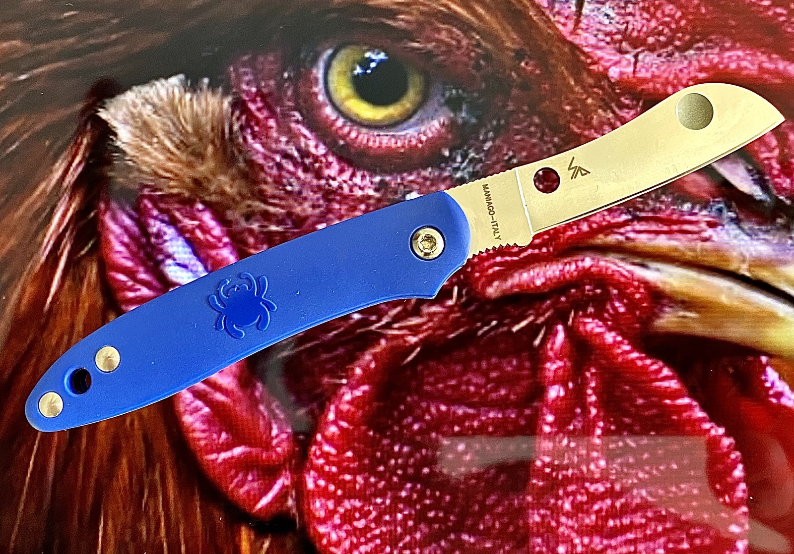 0890A453-513B-4605-A20B-33E3981FE400.jpeg