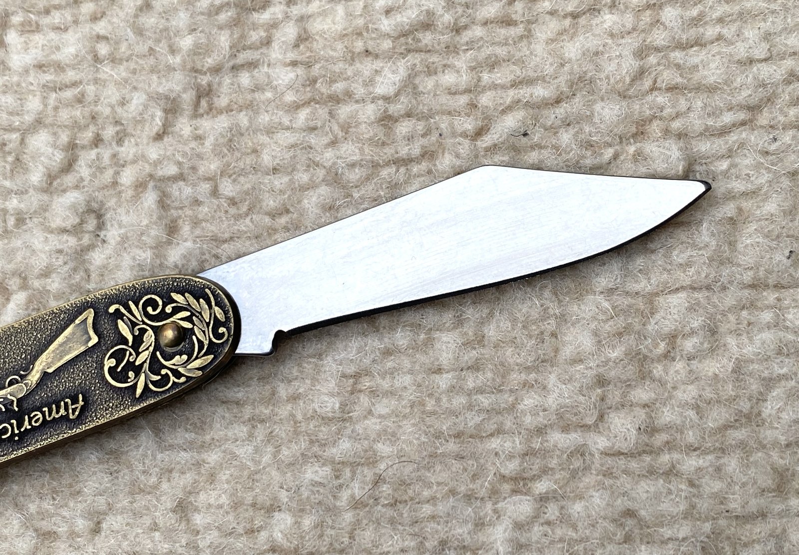 0B95FC6A-B6DC-4D6A-A5C2-EC23CAFAAA87.jpeg 0B95FC6A-B6DC-4D6A-A5C2-EC23CAFAAA87.jpeg