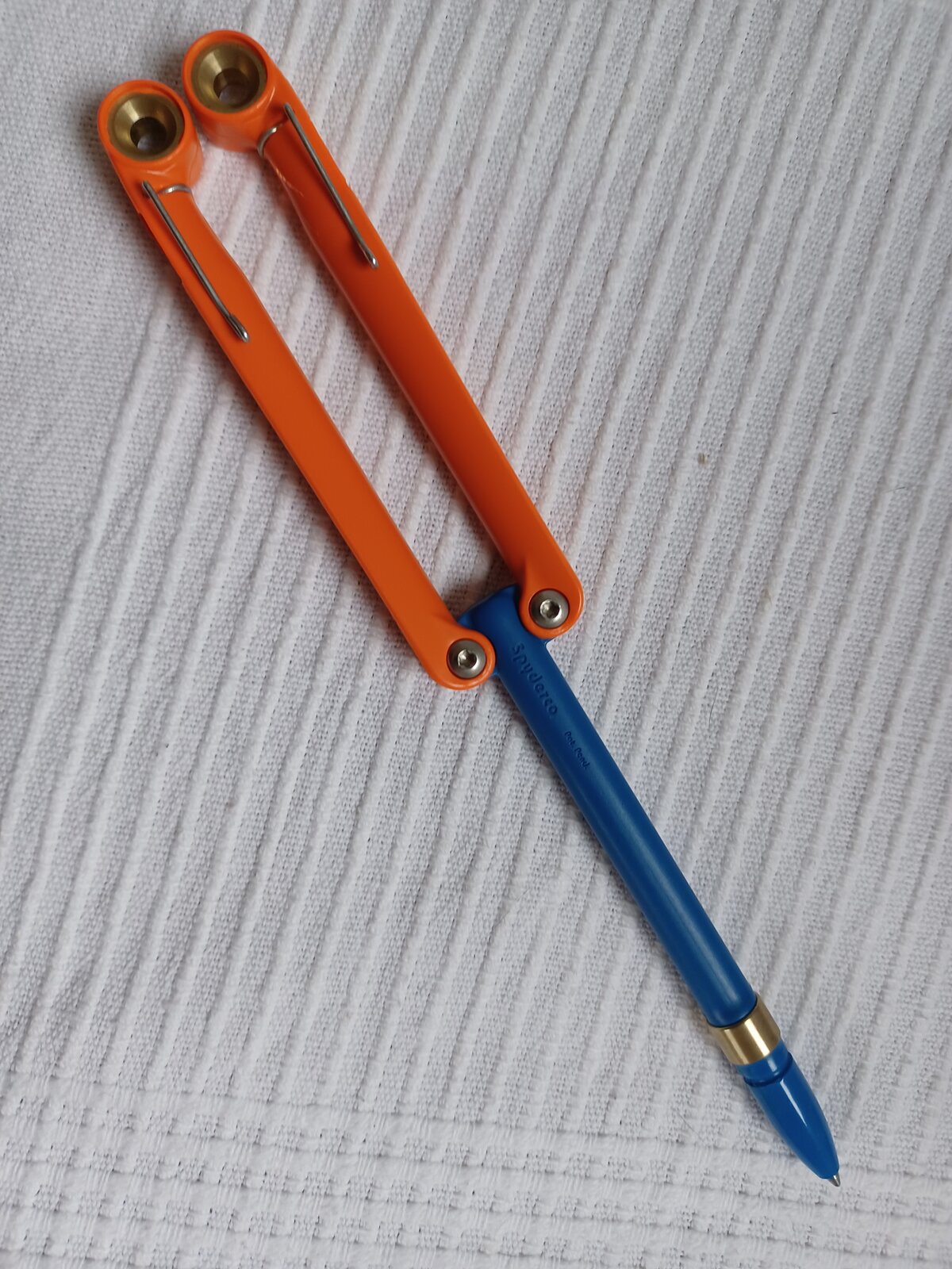 1000019250.jpg