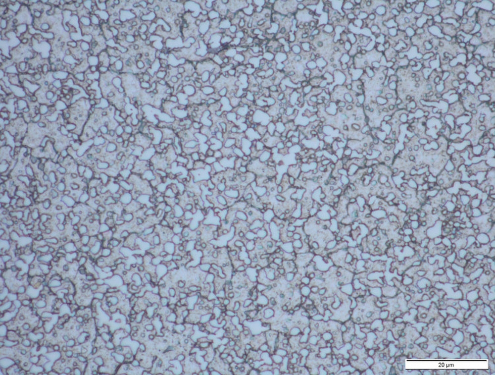 1000X-M390 22 % Carbide Volume.jpg