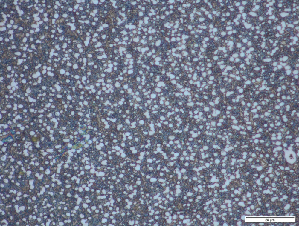 1000X-MAXAMET 22 % Carbide Volume.jpg