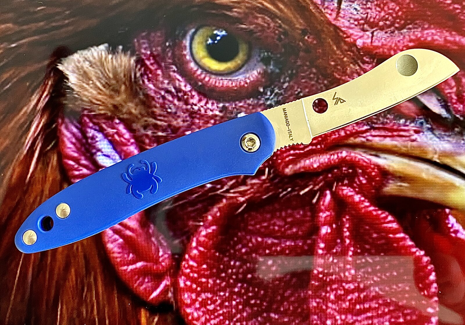 1736676738196.jpeg