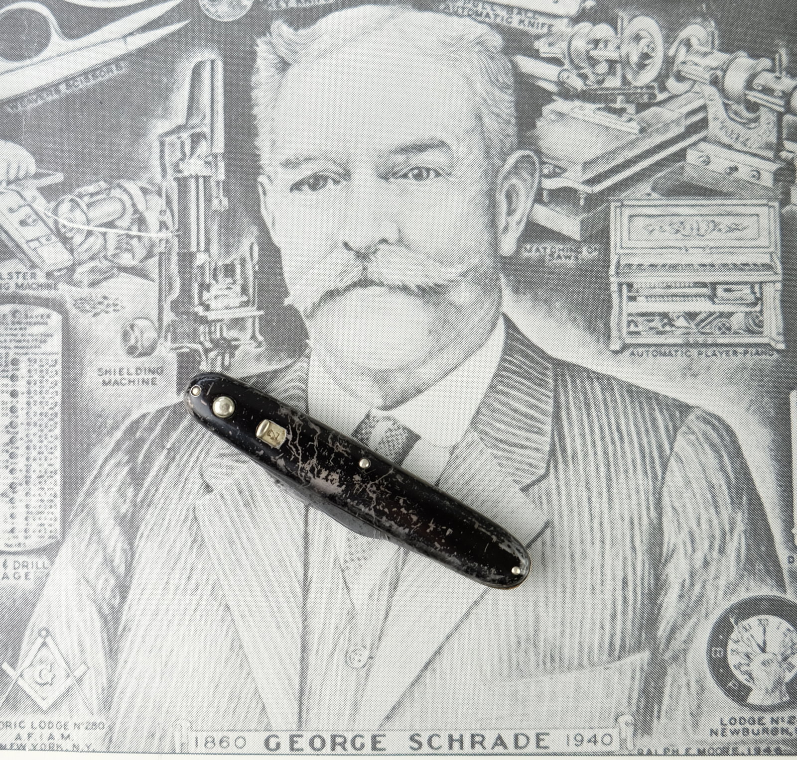 2 - Springer Schrade.JPG