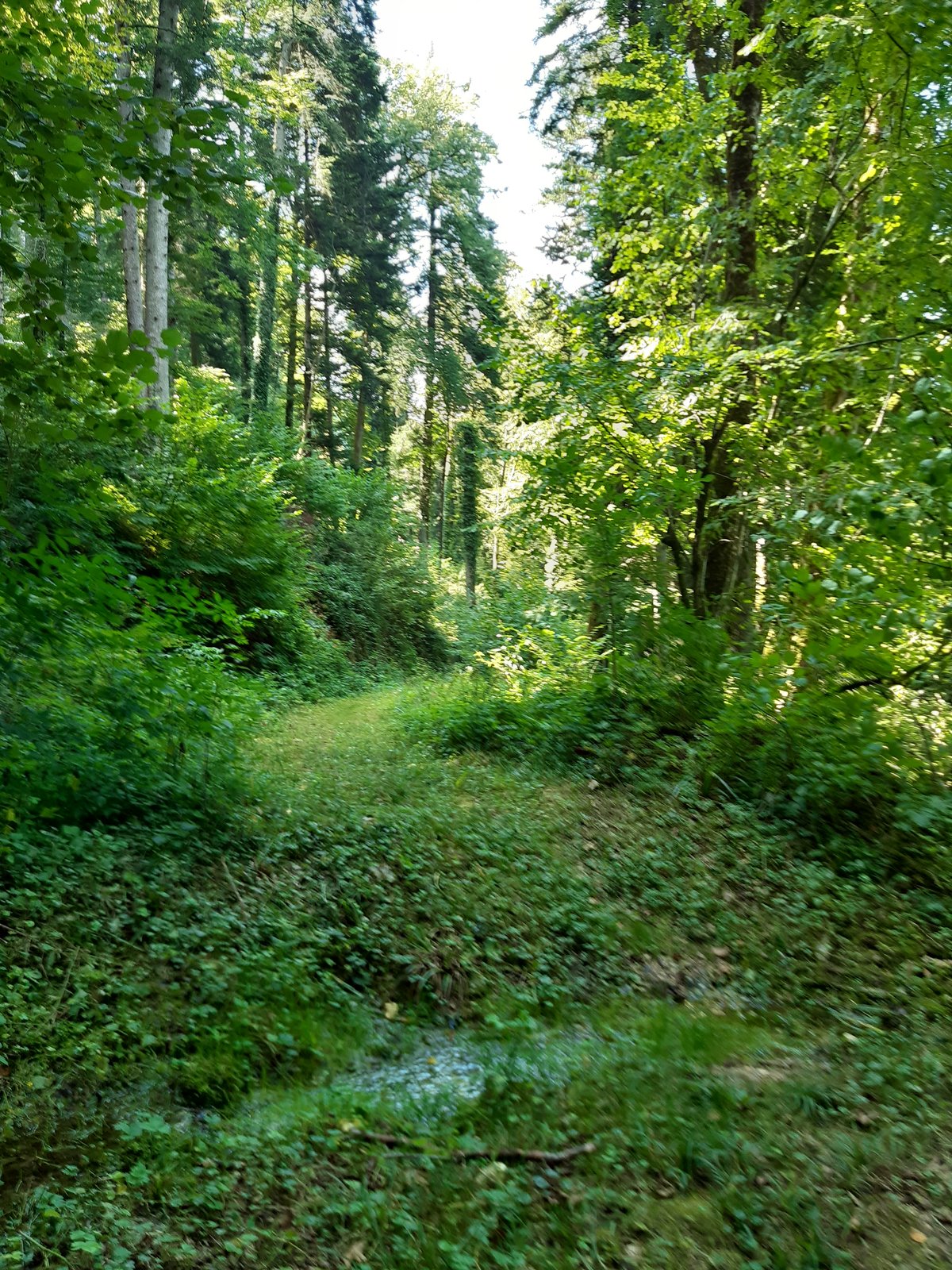 20210904_141203.jpg