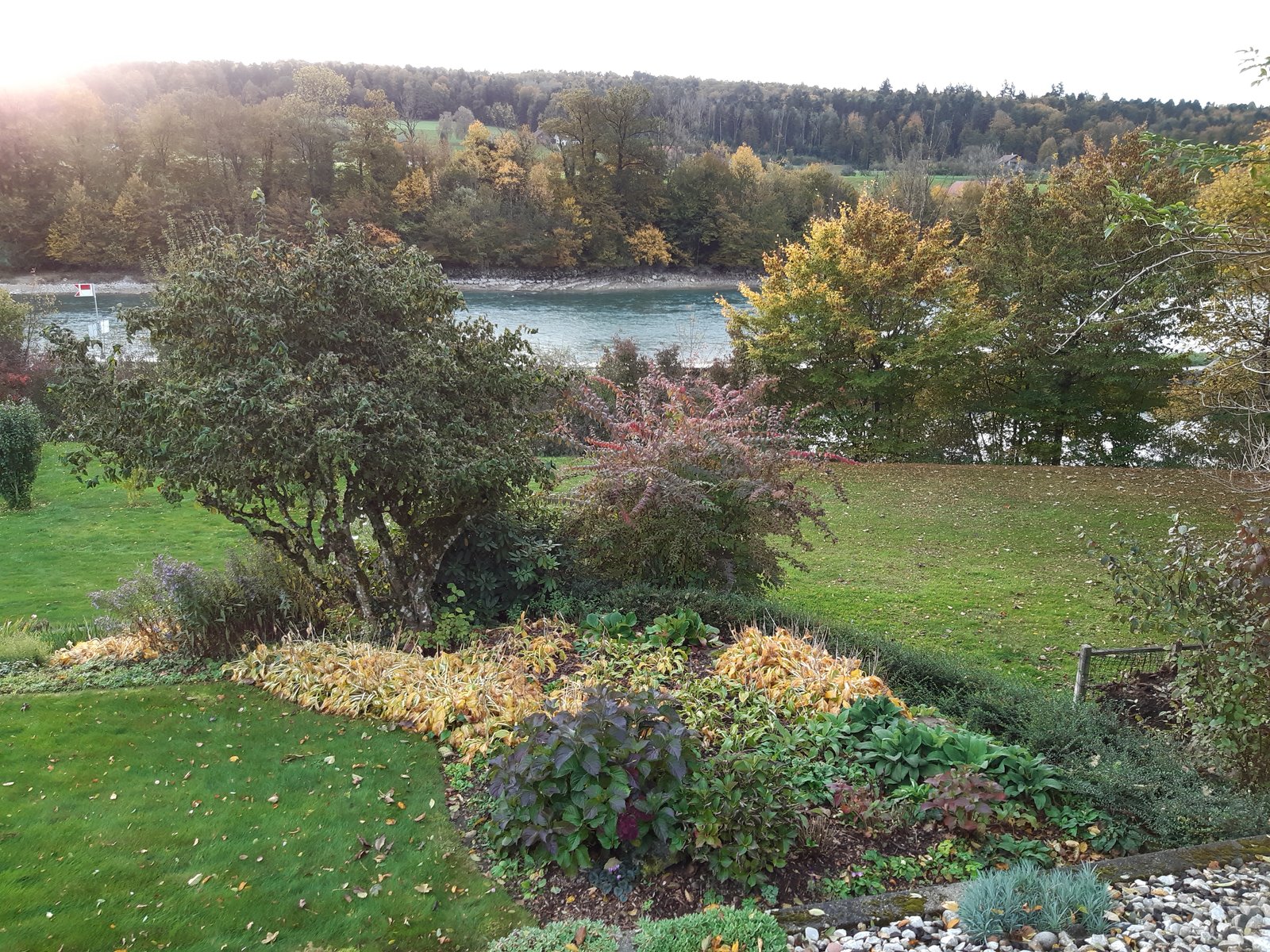 20211021_084646.jpg