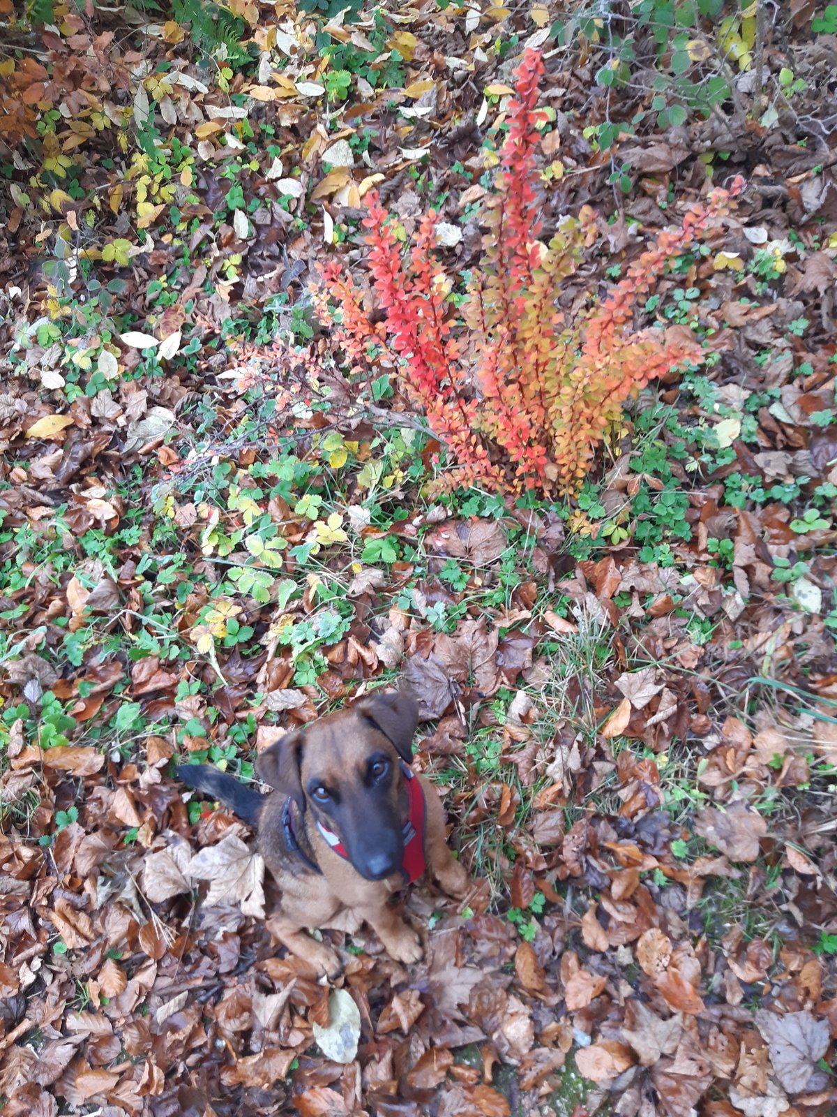 20211119_085451.jpg