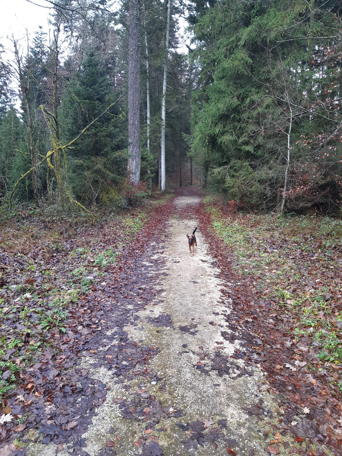 20211202_094735.jpg