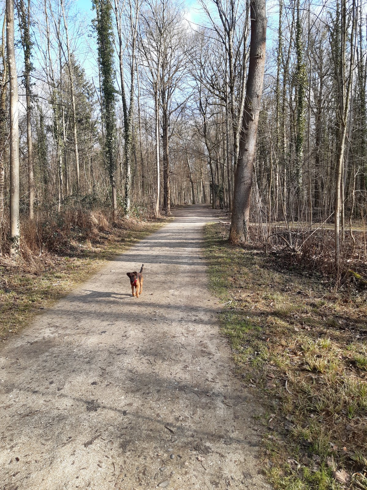 20220120_133147.jpg