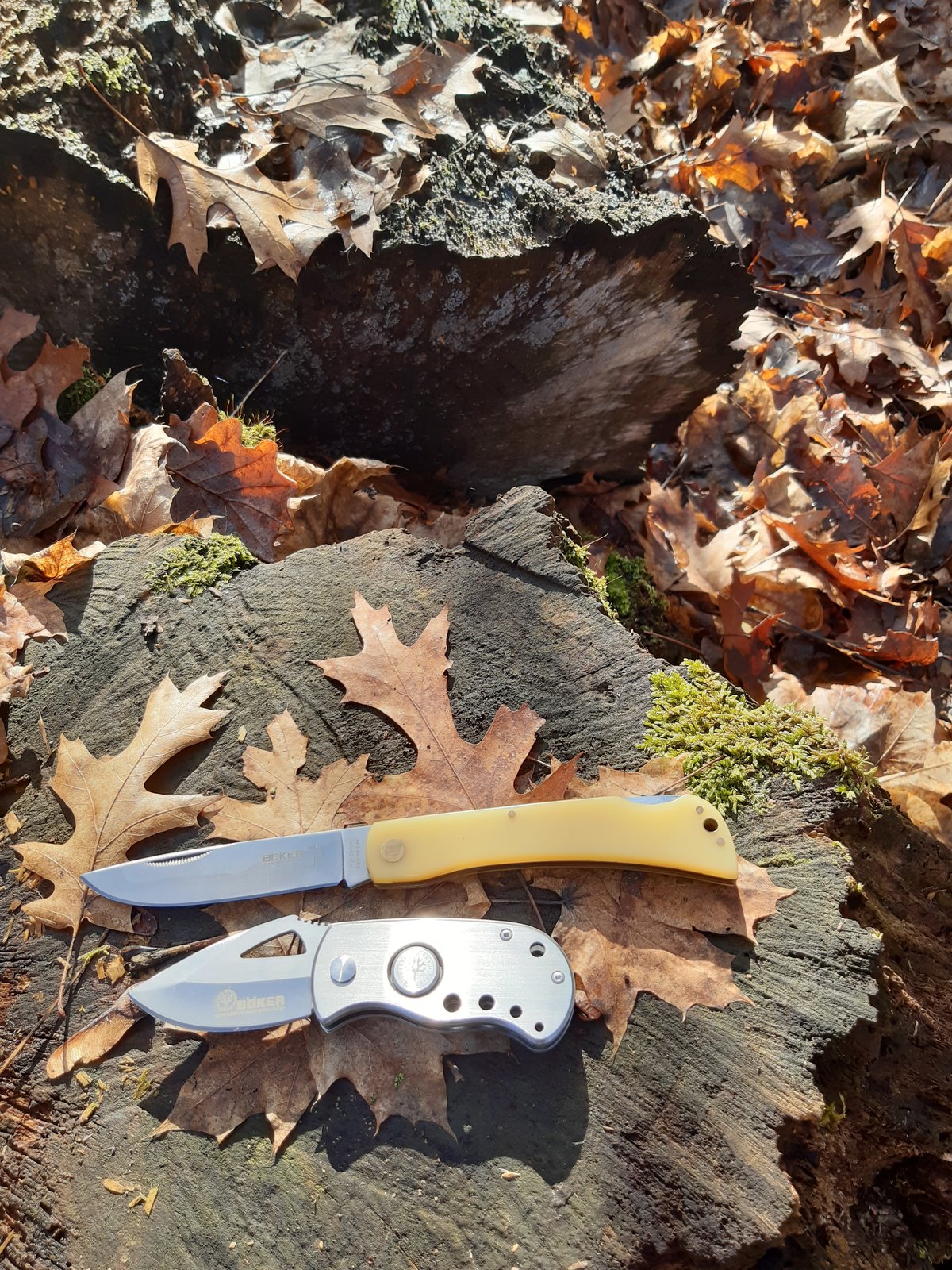 20220120_133433.jpg