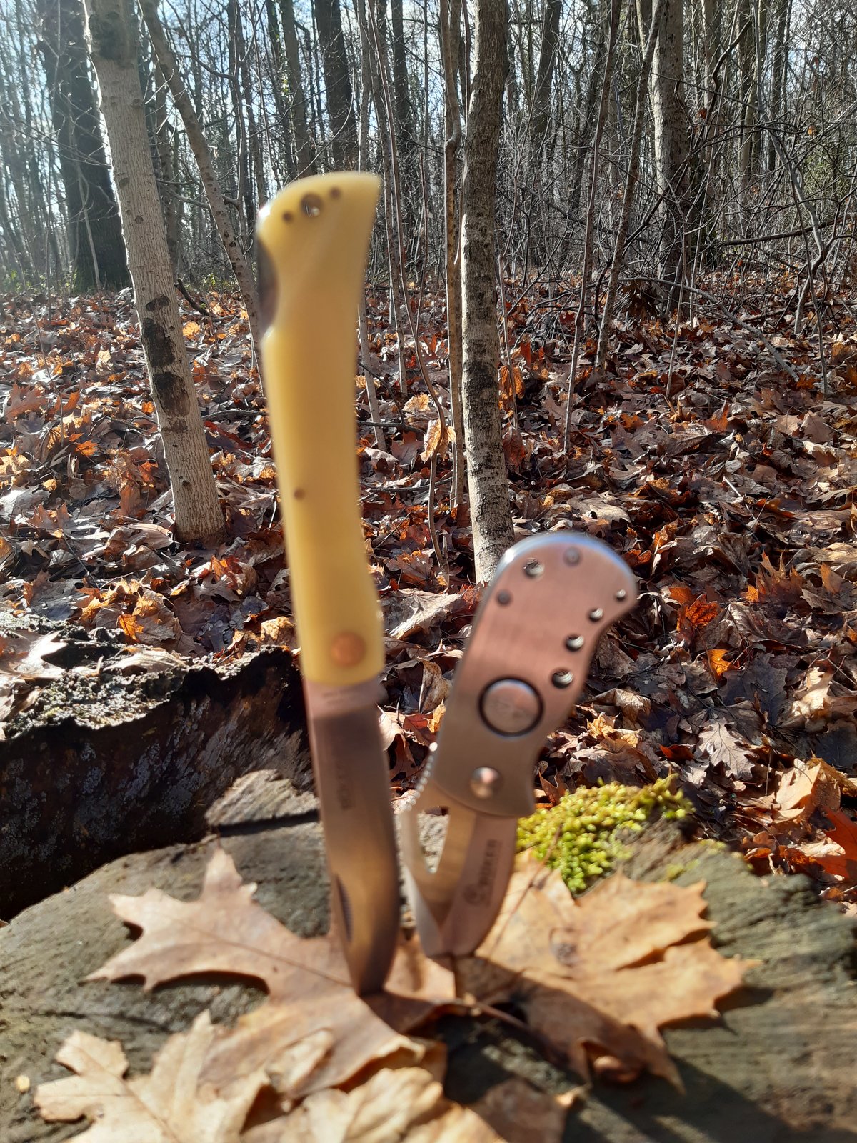 20220120_133507.jpg