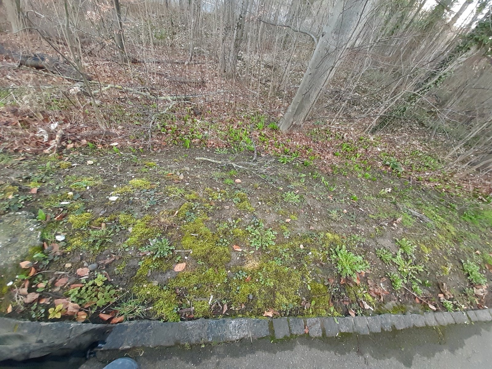 20220223_080422.jpg