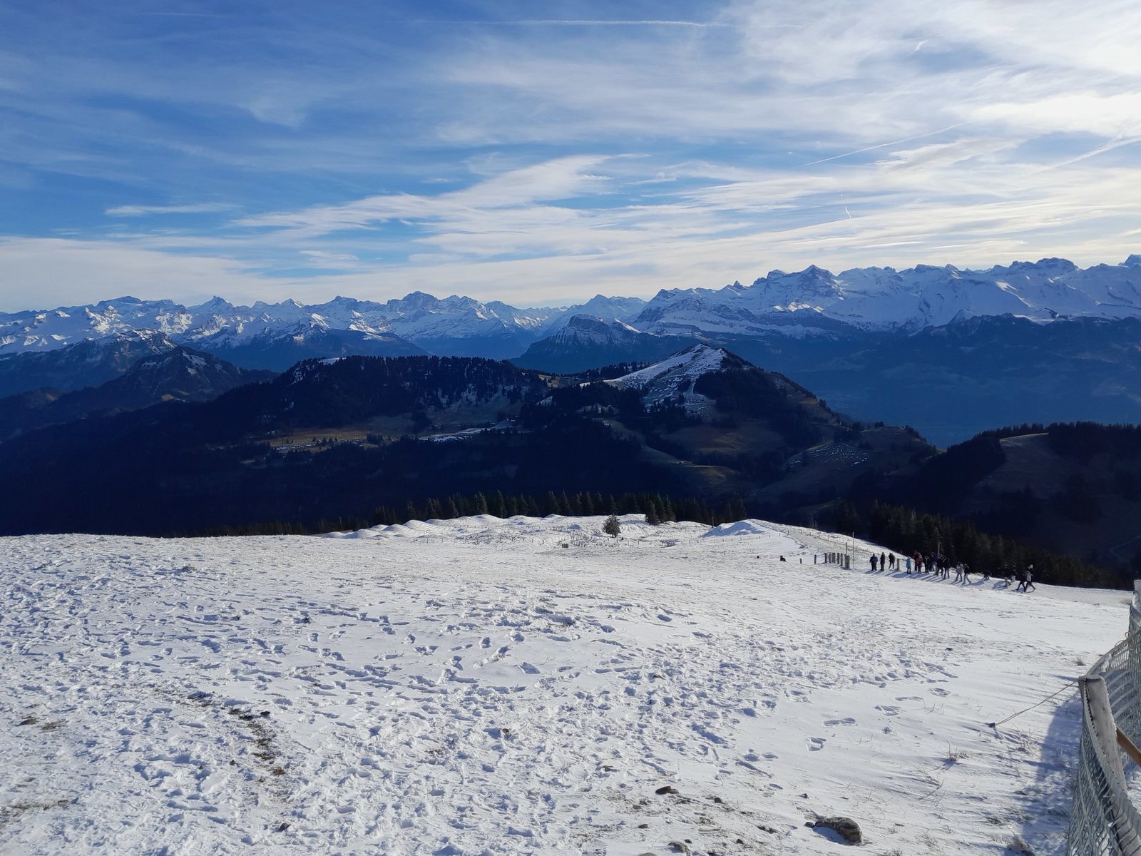 20221228_140343.jpg