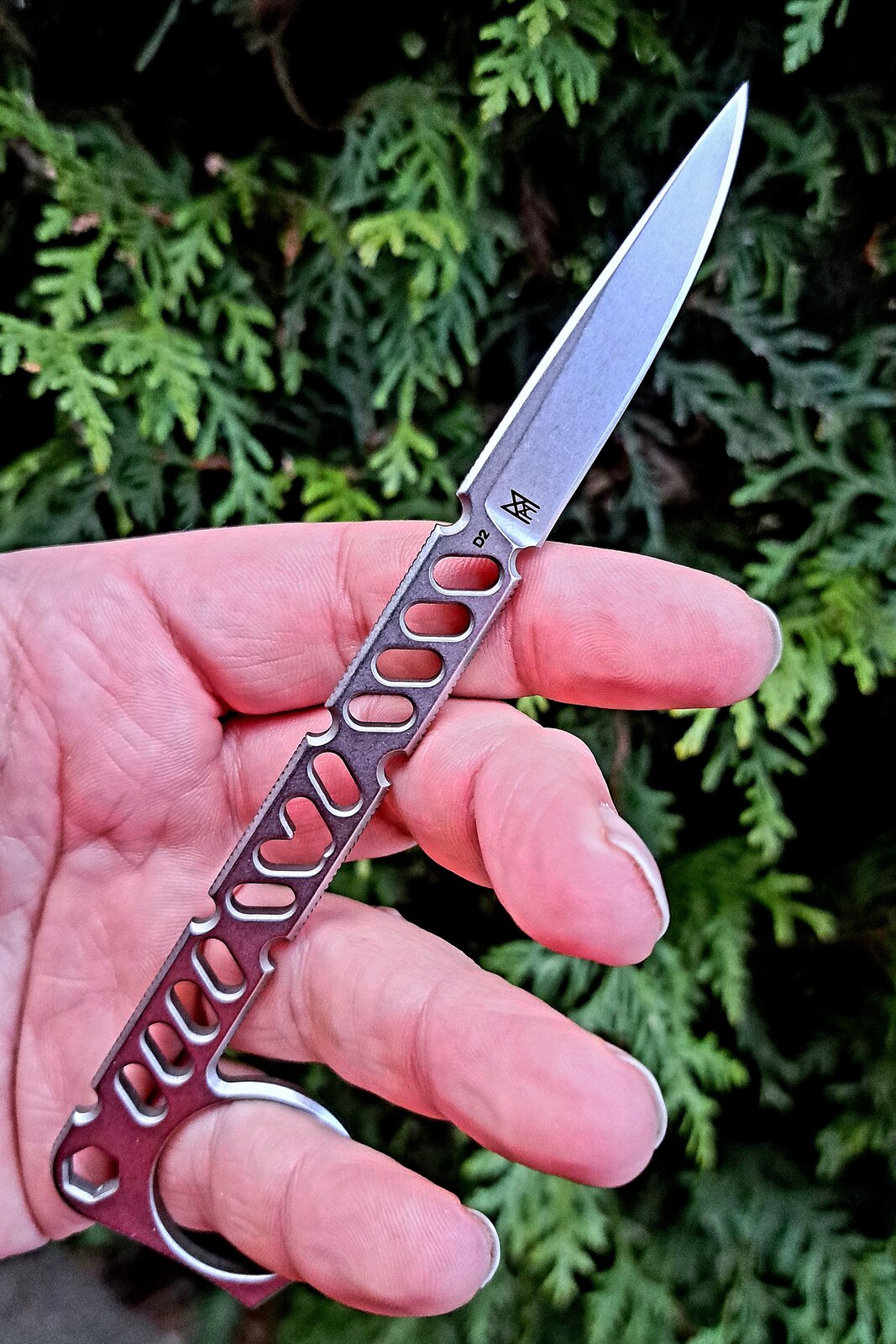 20240225_075319.jpg