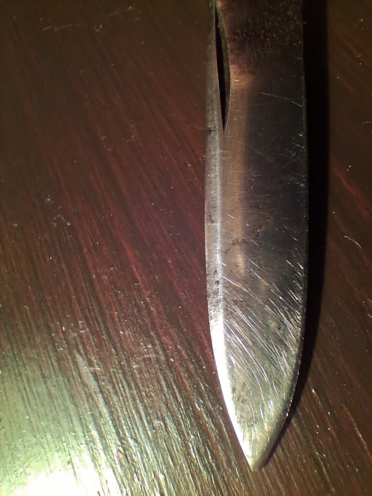 20250301_182812.jpg