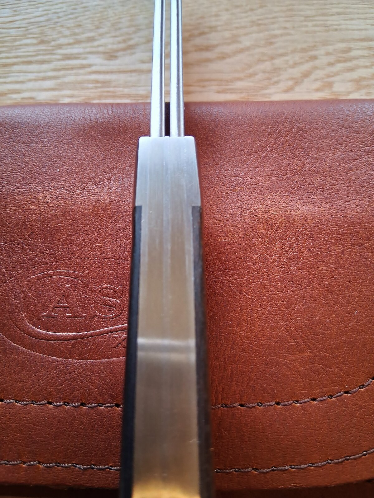 20250418_103113.jpg