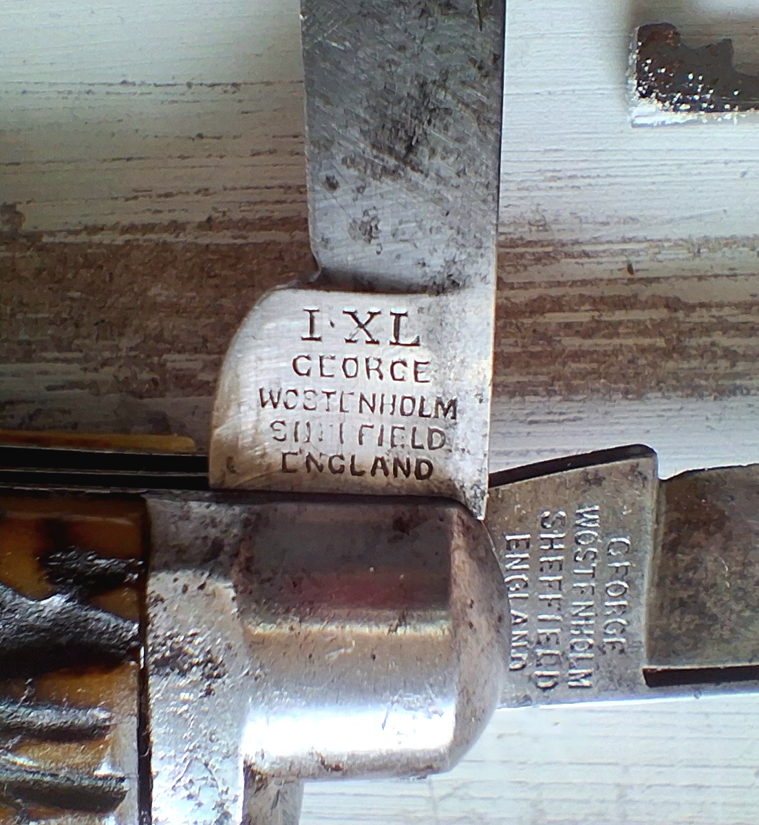 20250828_082115.jpg