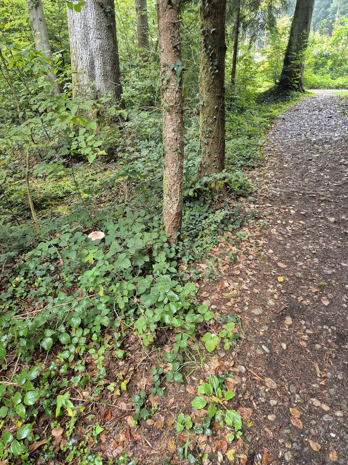 20250927_093401.jpg