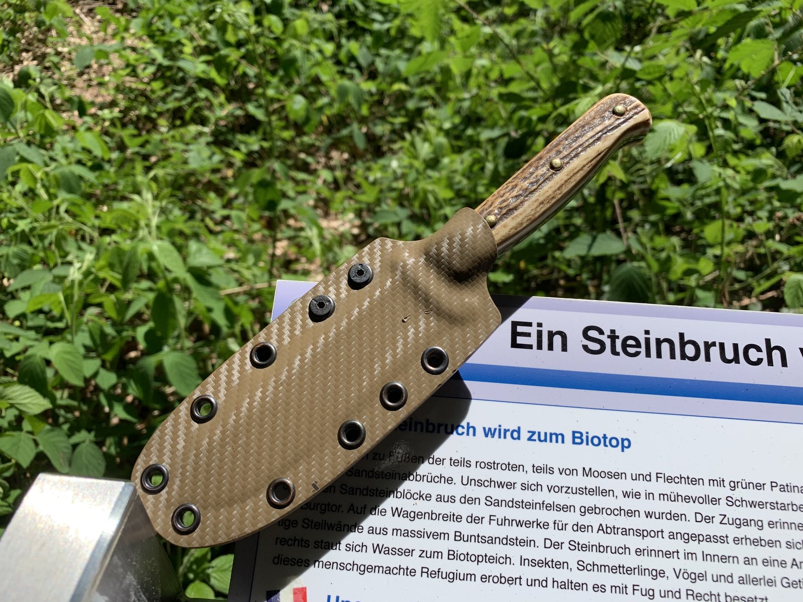 28583103-B1E3-45E1-B49E-8FEA26D40F8C.jpeg