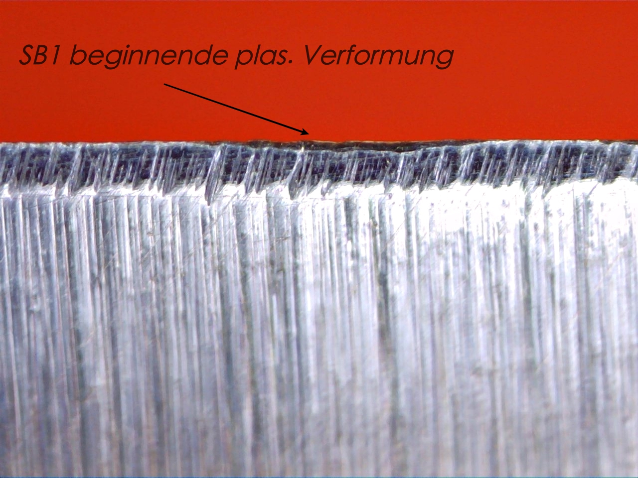 30972461da.jpg