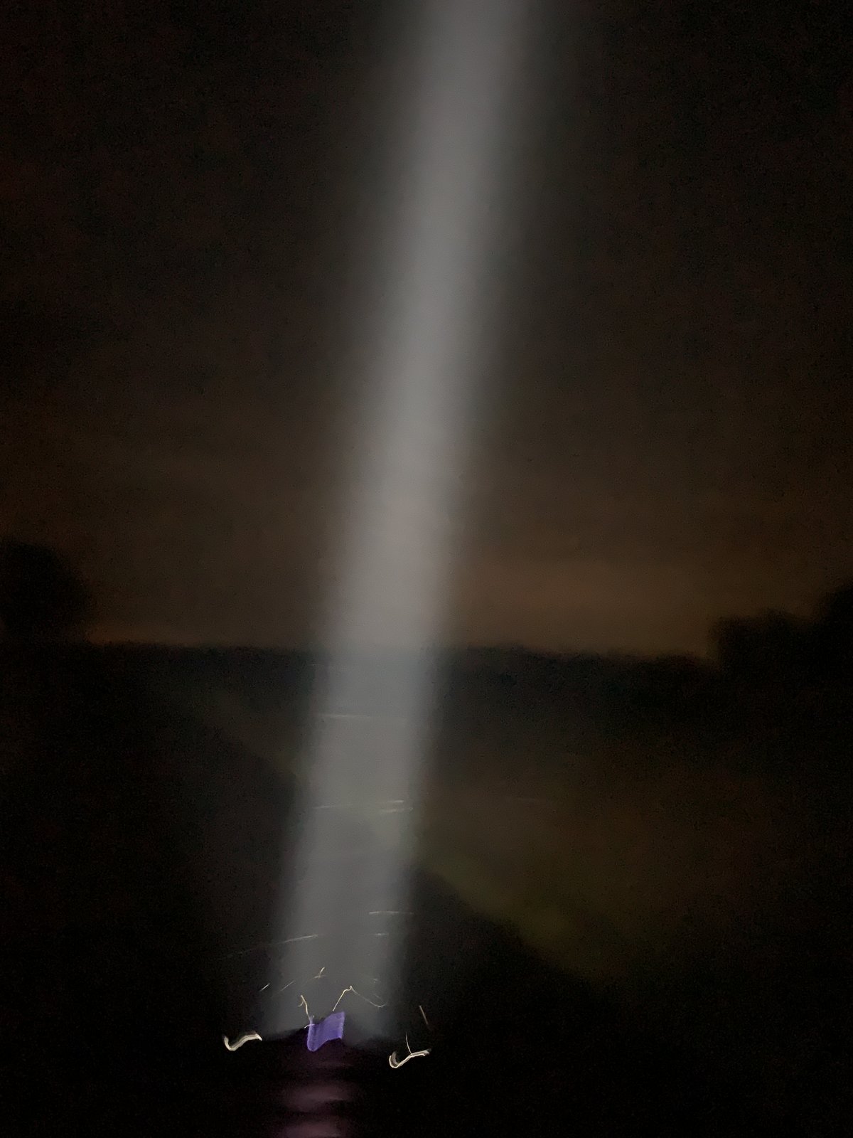 33C8CAF1-B101-4A01-8992-CA3A39B360AA.jpeg