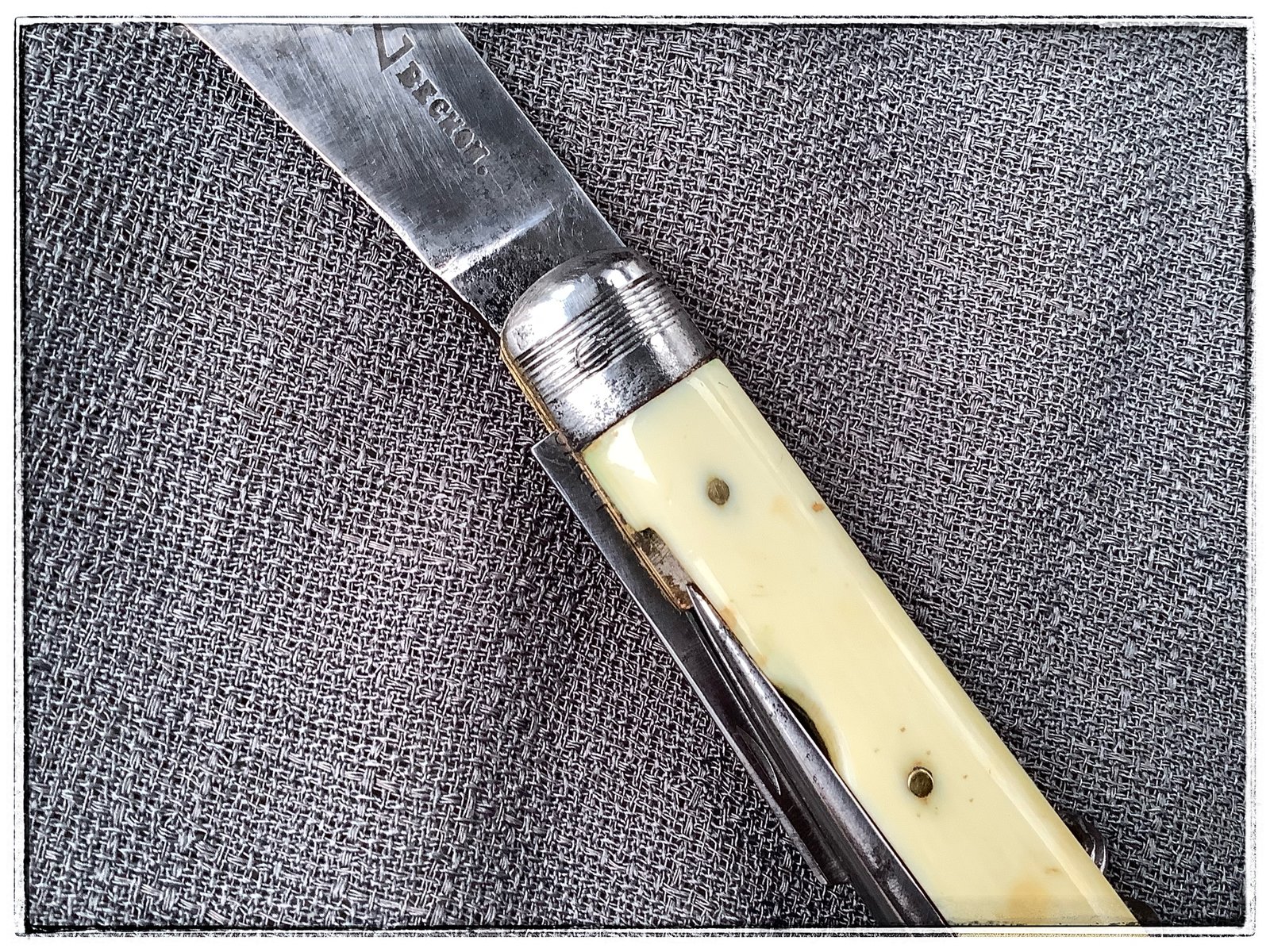 5F717F38-67D4-4F80-8F65-709C5DDCA71A.jpeg 5F717F38-67D4-4F80-8F65-709C5DDCA71A.jpeg