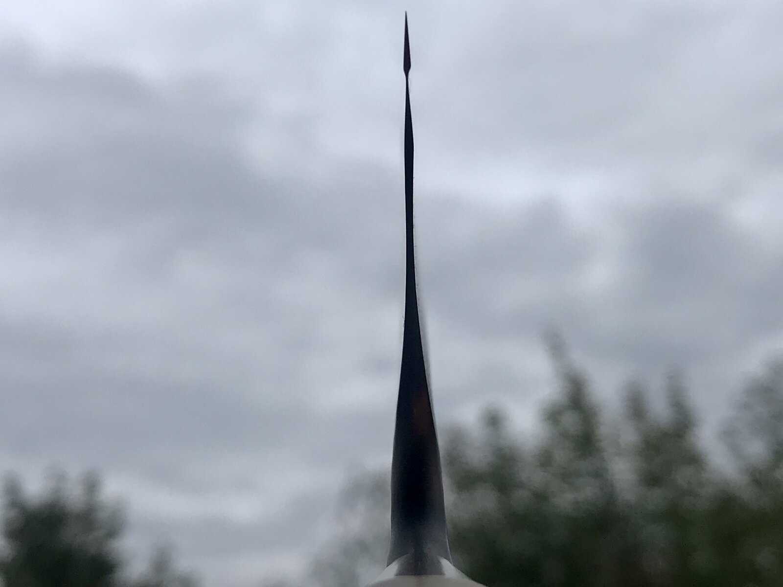 7F686E6A-00C8-4F58-945A-991E1A1E7C5B.jpeg