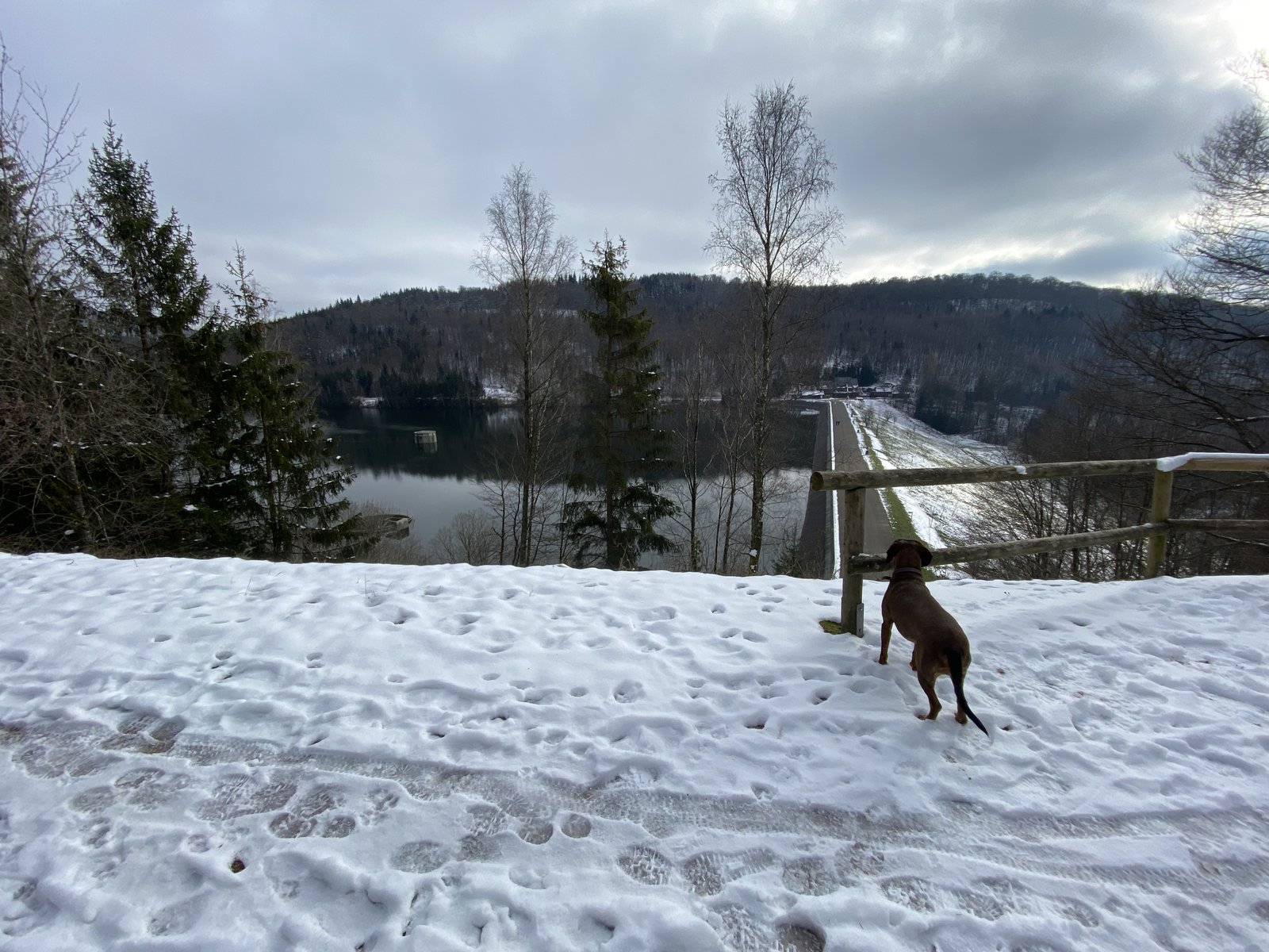854688ED-A140-4C01-8650-0503B87C7C4C.jpeg
