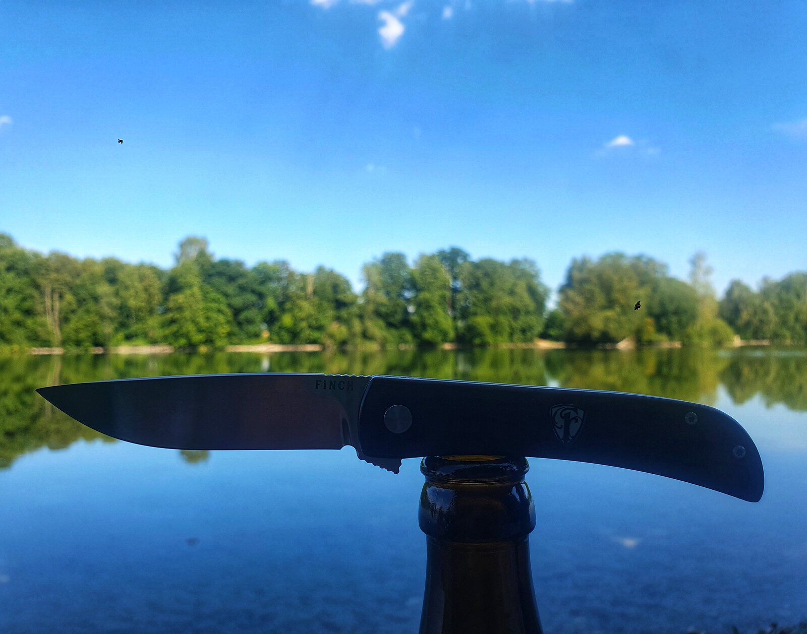 Ameise am See.jpeg