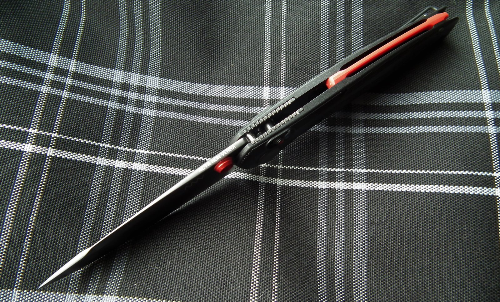 ANV A100 (5).JPG