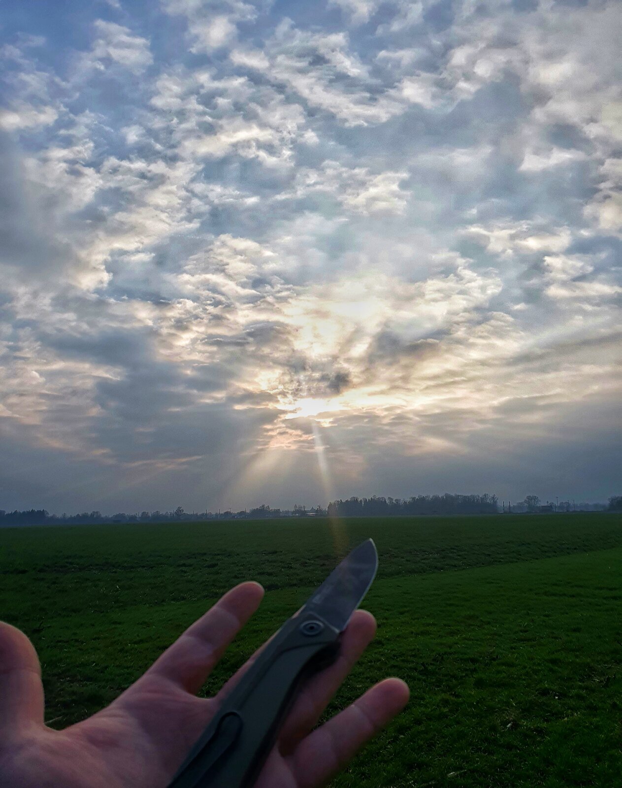 ANV an Sonne .jpeg