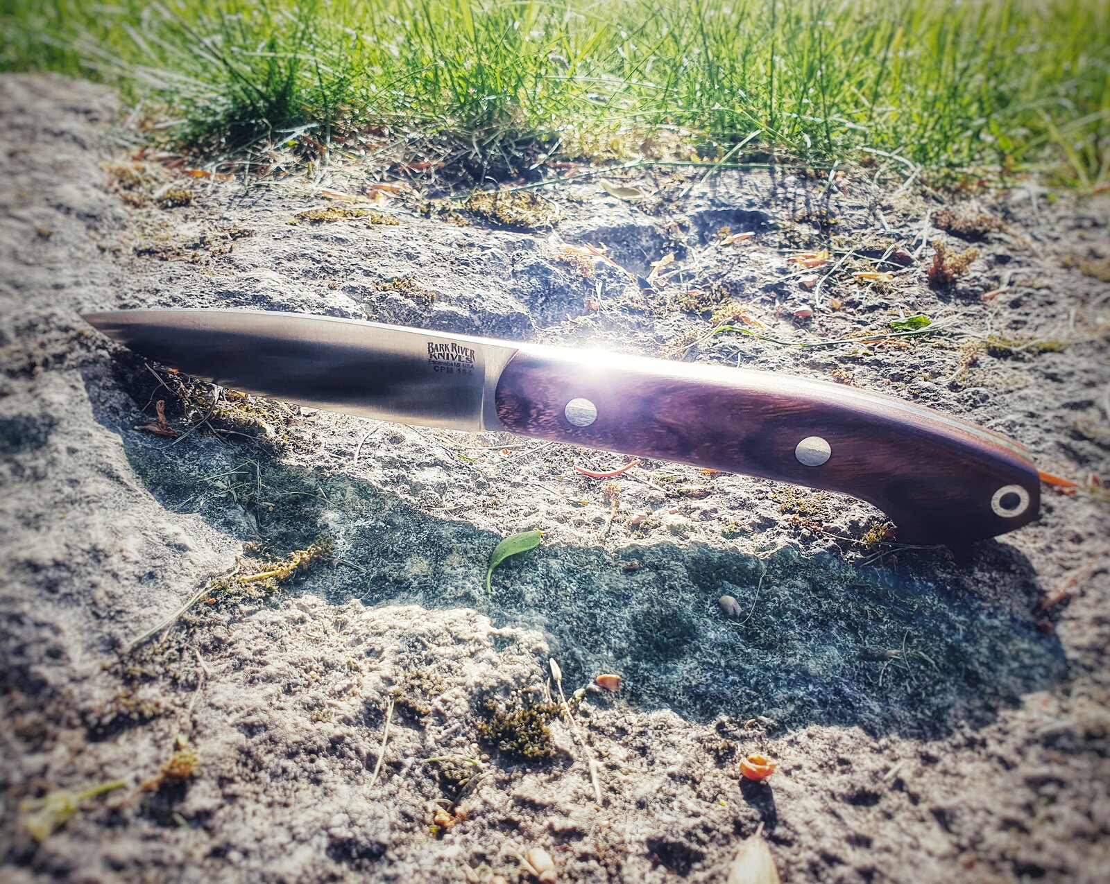 Bark River an Sonne.jpeg