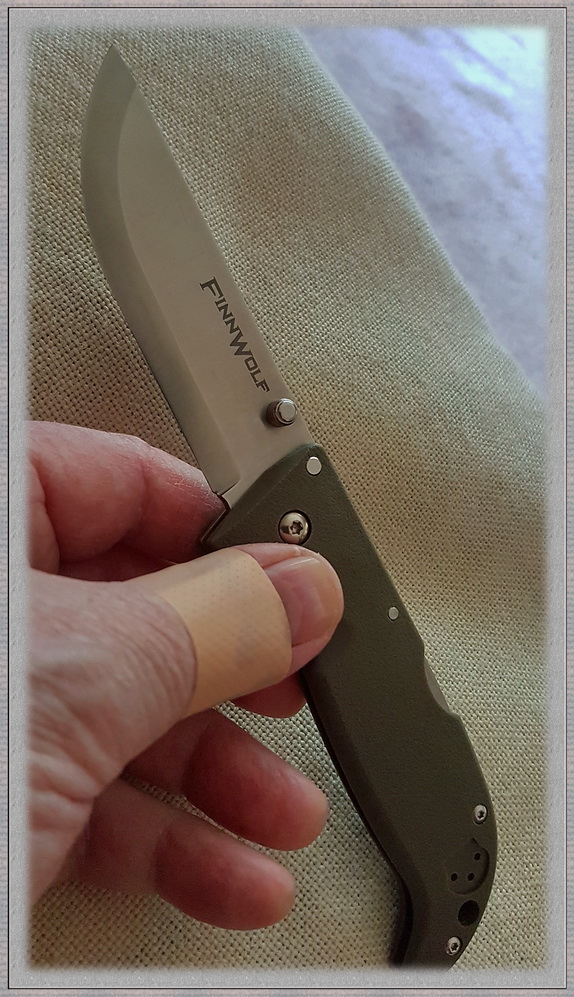 Bissiger Wolf 2.jpg