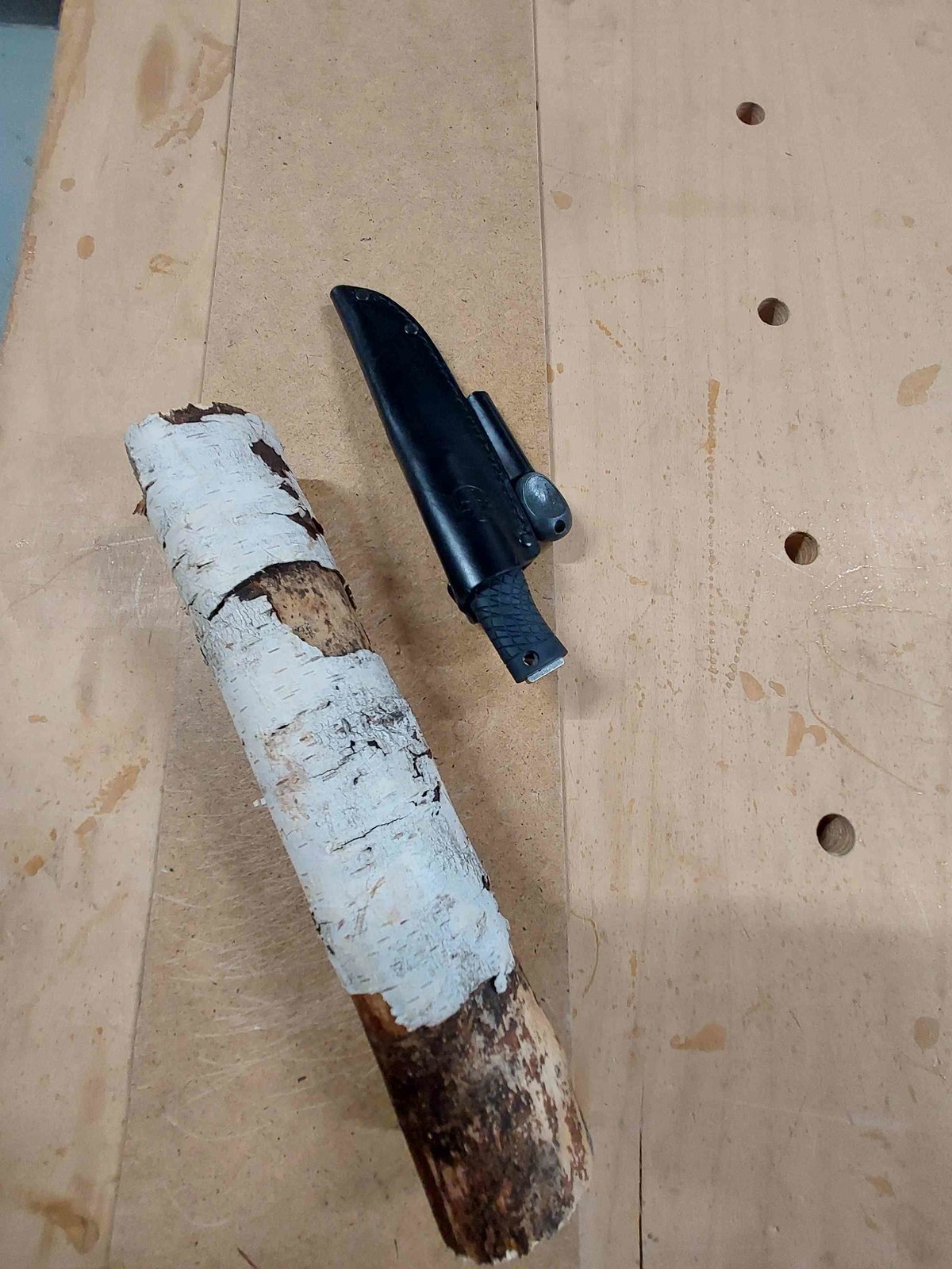 Böker Bronco 19 vs Birke.jpg