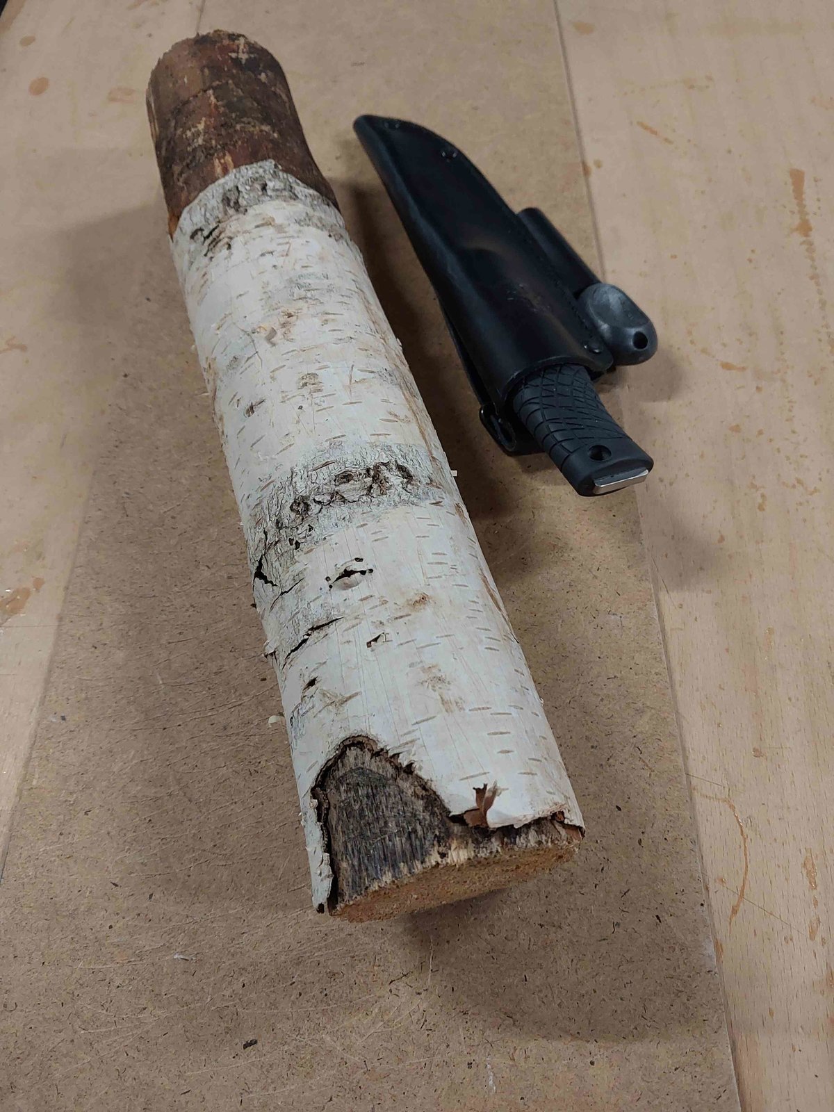 Böker Bronco 20 vs Birke 2.jpg