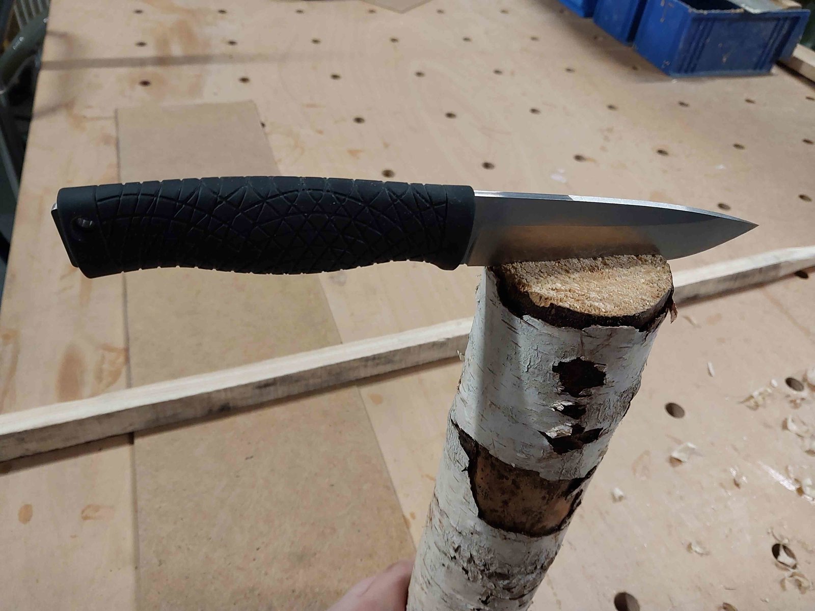 Böker Bronco 22 vs Birke (es wird ernst).jpg