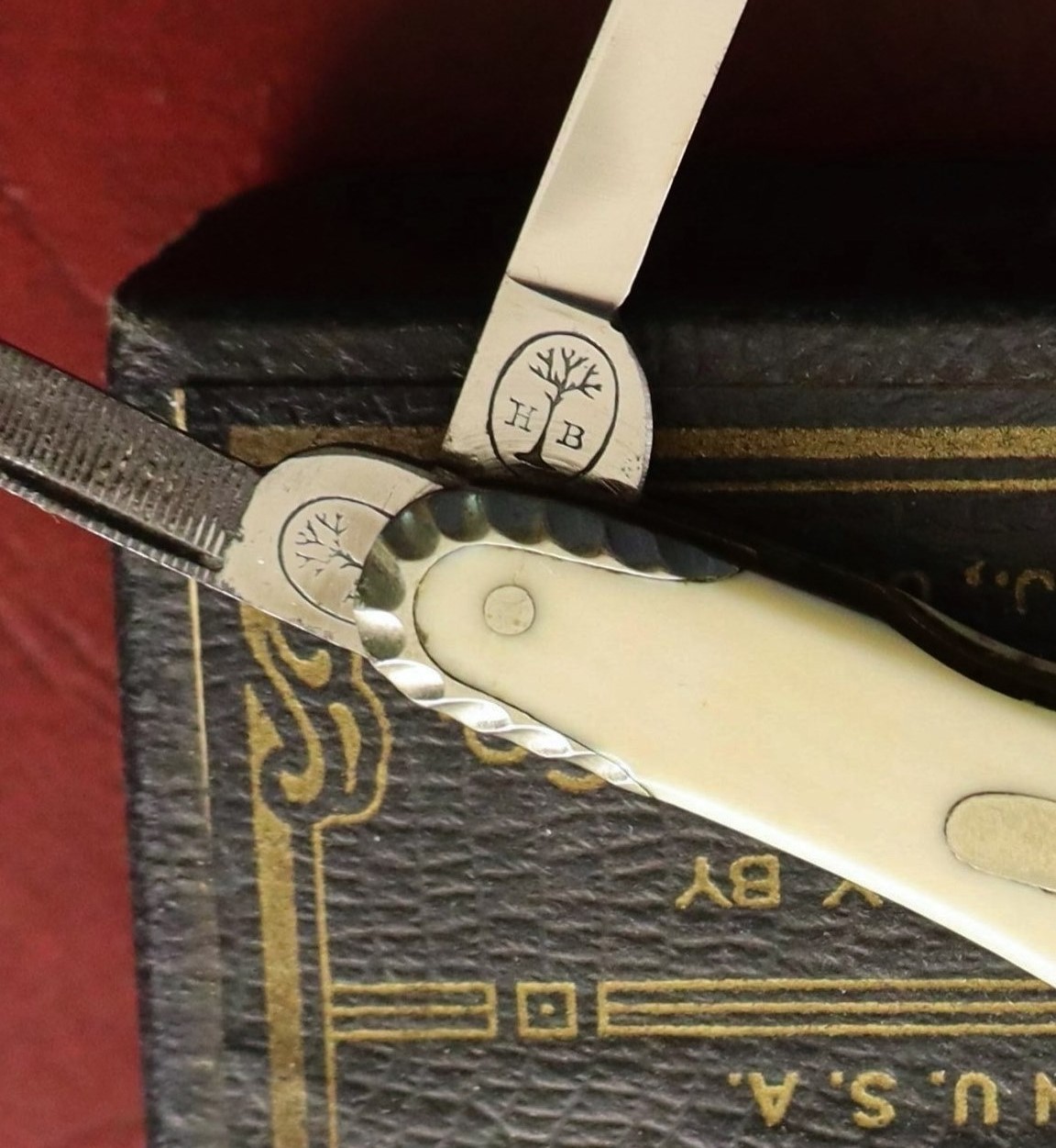 Boker Congress Ivory Stamp HB.jpg