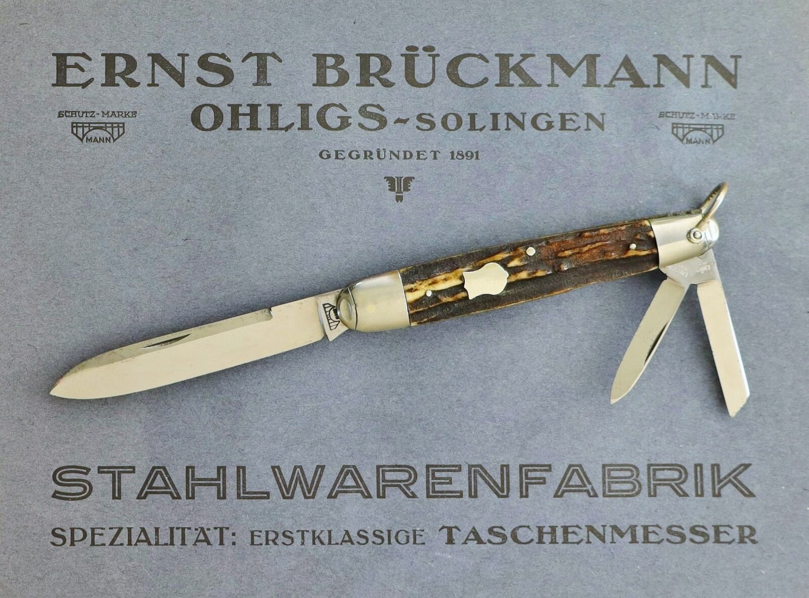 Bruckmann Stag Whittler on cat (2000x1479).jpg