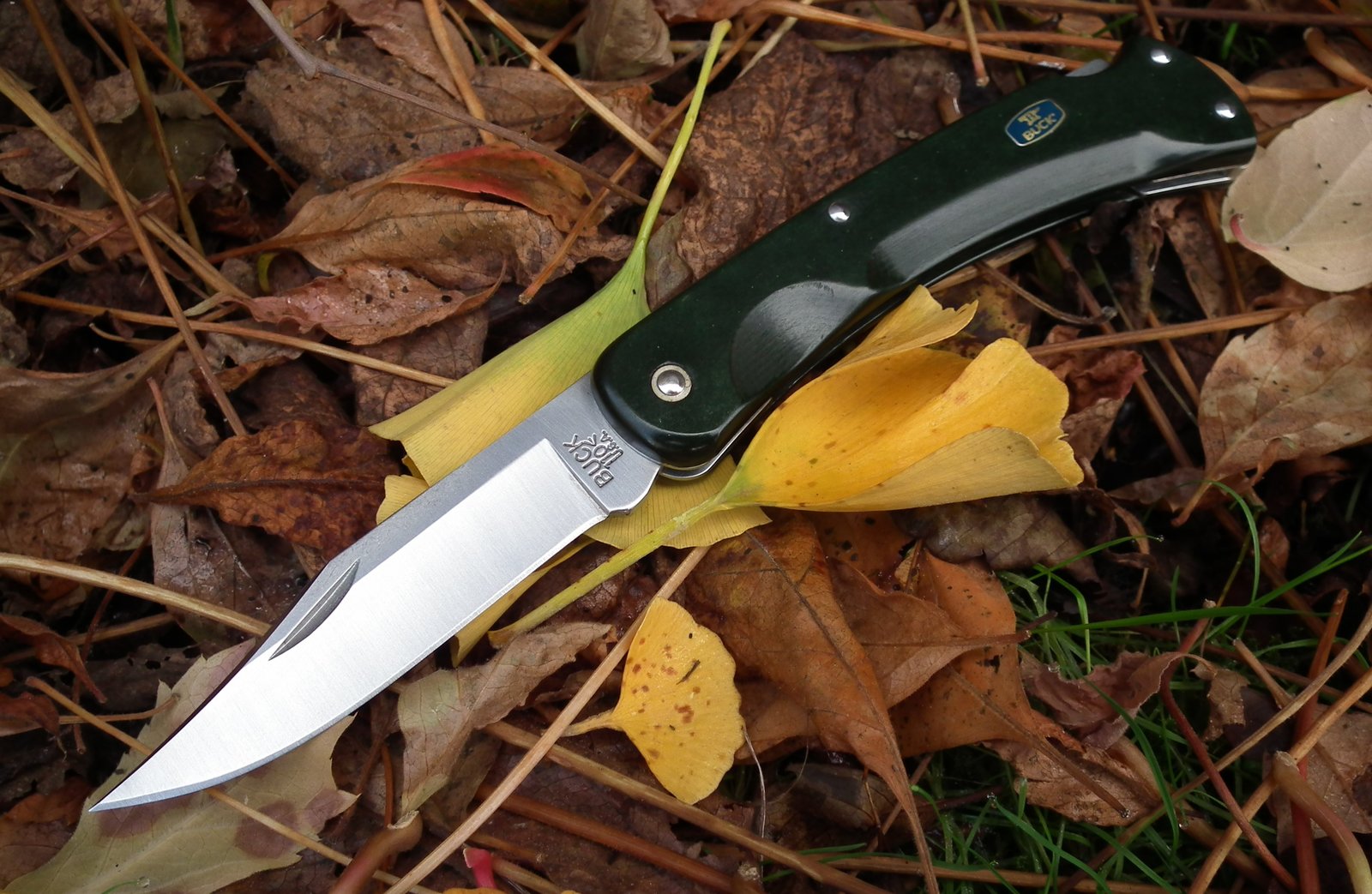 Buck 110 Eco (2).JPG