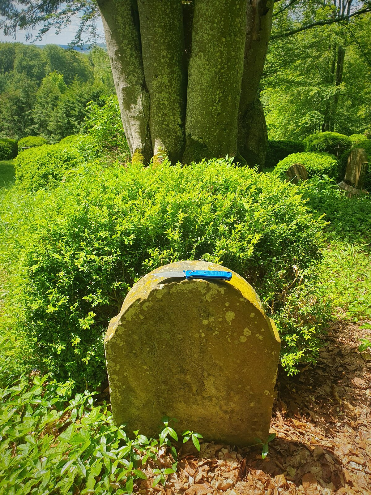 Bugout aufm Friedhof.jpeg