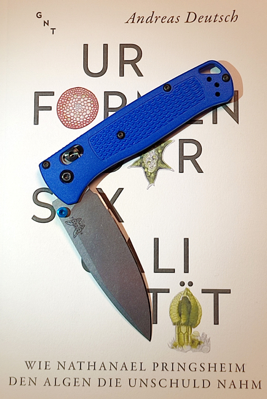 bugout06.jpg