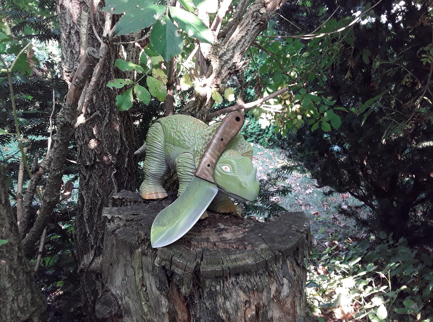 Ceratopsidae.jpg