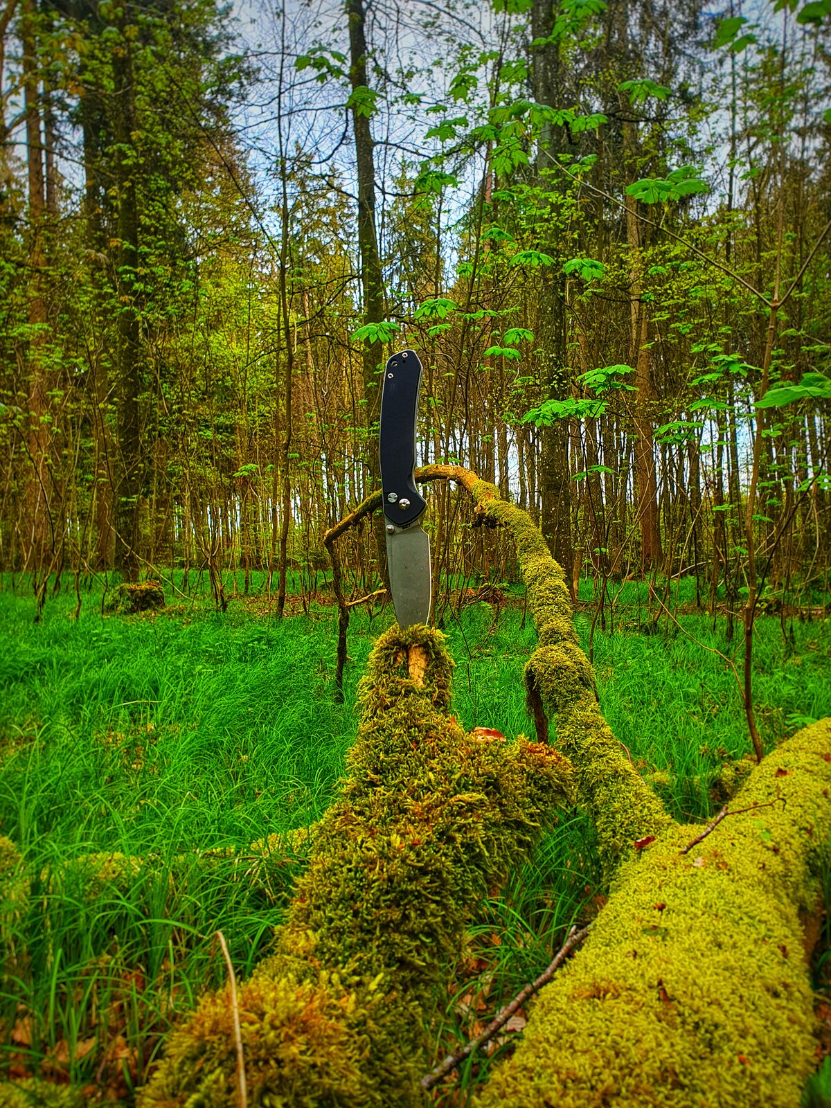 Chinese im Wald.jpeg