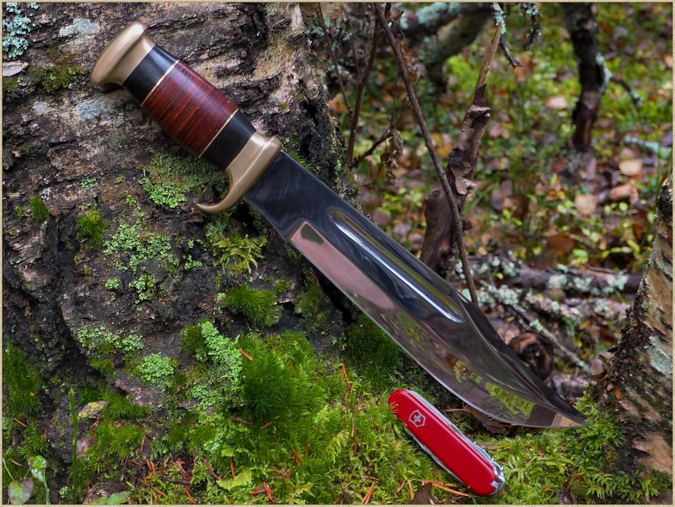 Down Under - The Outback Bowie.JPG