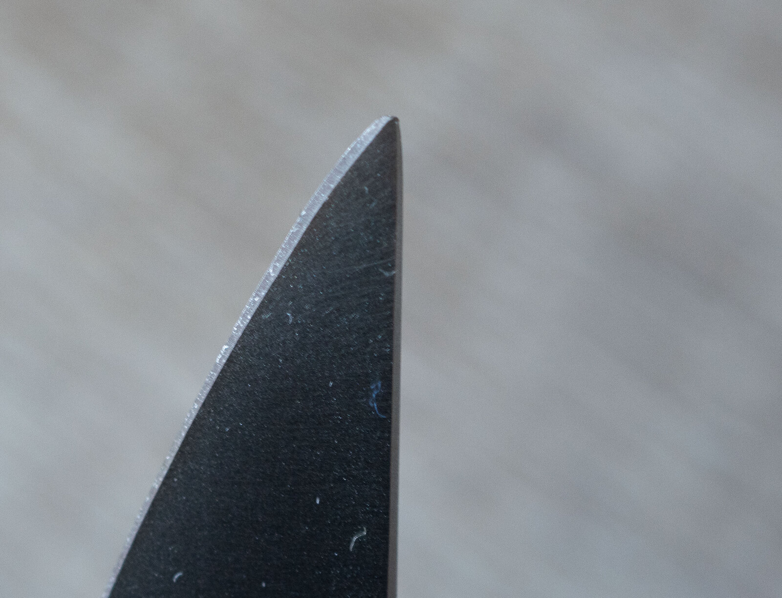 DSC01974 Kopie.jpg