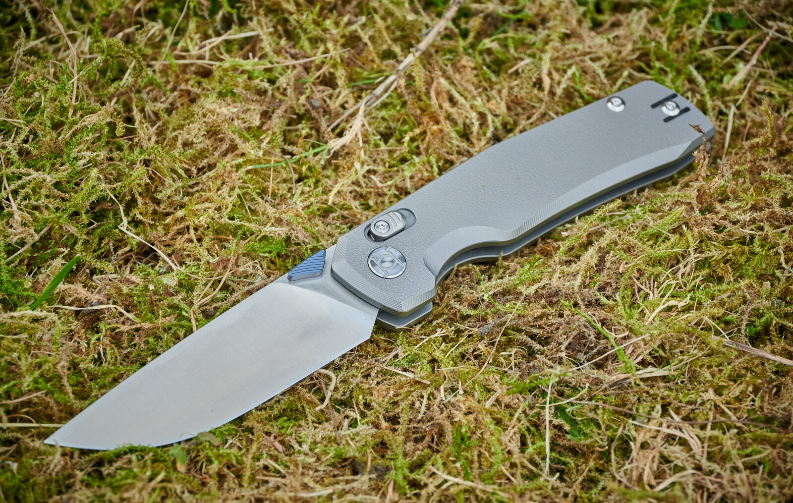 DSC_2480 1.jpg